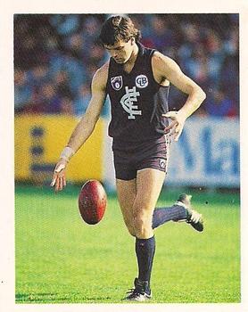 1993 Select AFL Stickers #44 Earl Spalding Front